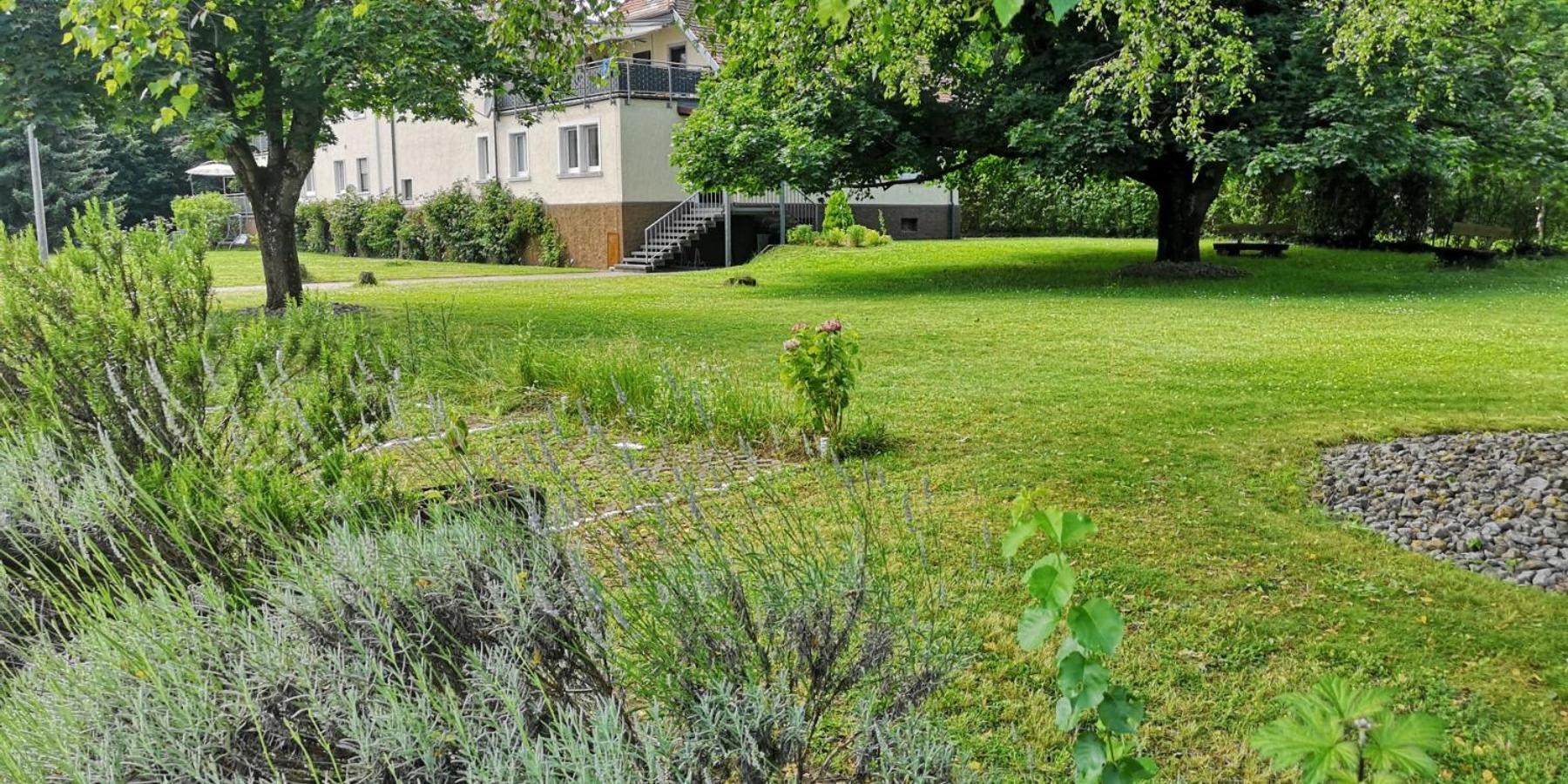 Niederwald Apartment Iffezheim Bagian luar foto