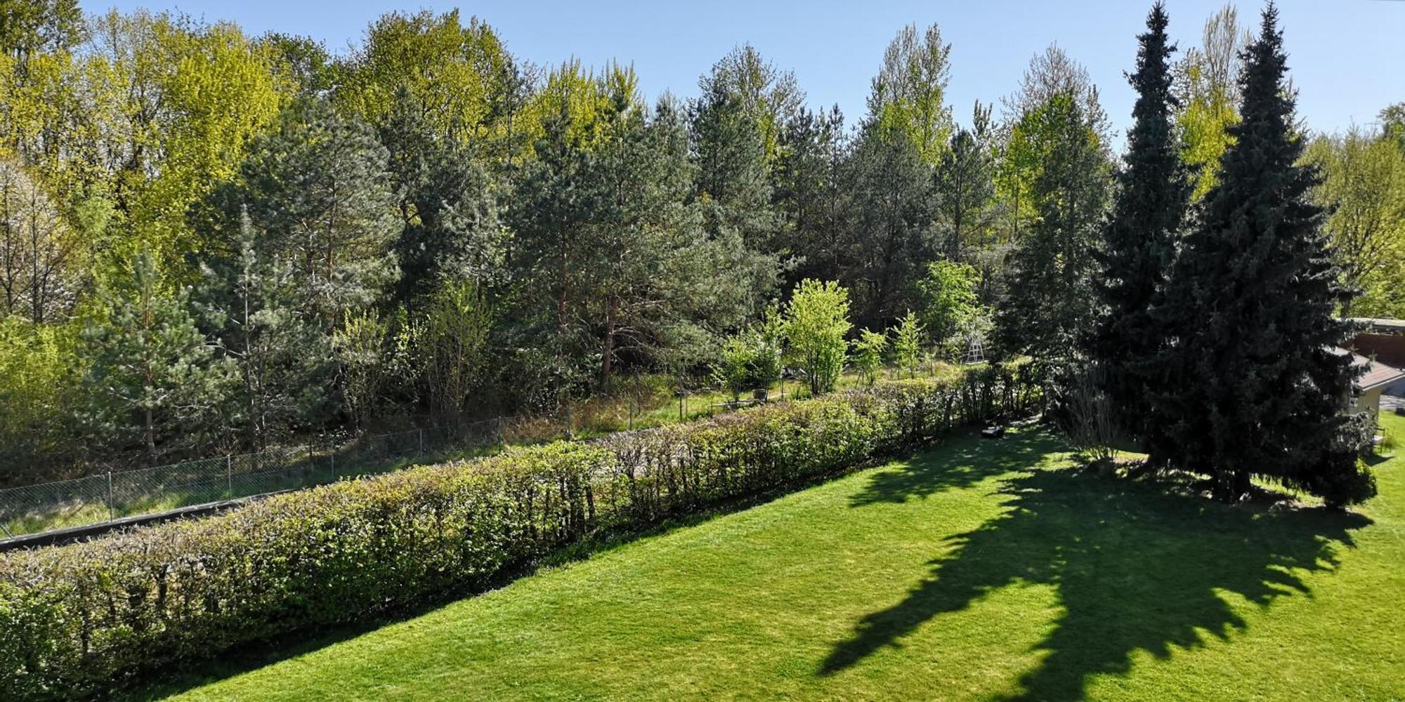 Niederwald Apartment Iffezheim Bagian luar foto
